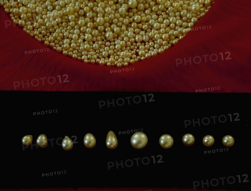 Sorting pearls by size and quality