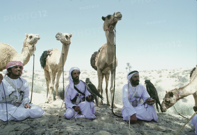 Hawking is a traditional sport of the Bedu and is still very popular in the Emirates