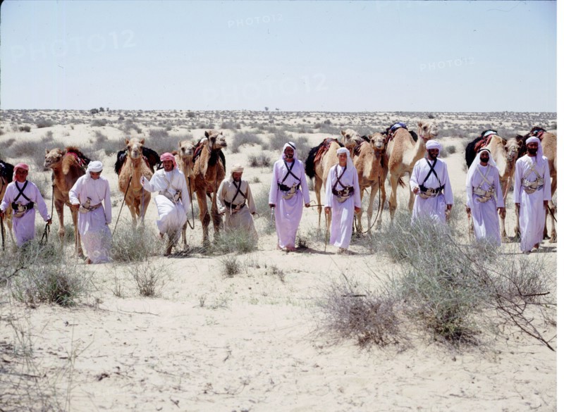 A party of Bedouin leading their camels in the desert