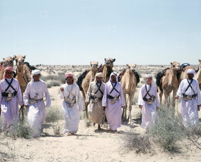 A party of Bedouin leading their camels in the desert