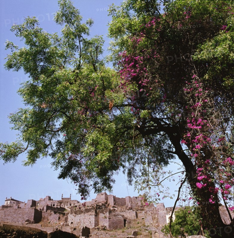 Golconda in the Deccan, once a rich and powerful state, it is now deserted and in ruins