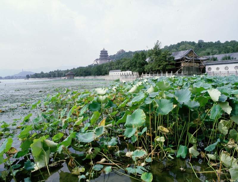 Beijing