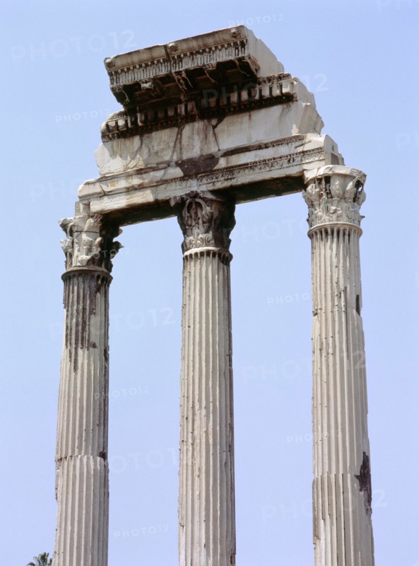 The Roman Forum