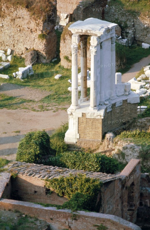 The Roman Forum