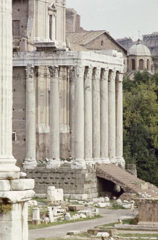 The Roman Forum