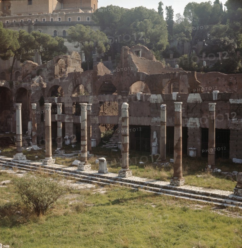 The Roman Forum