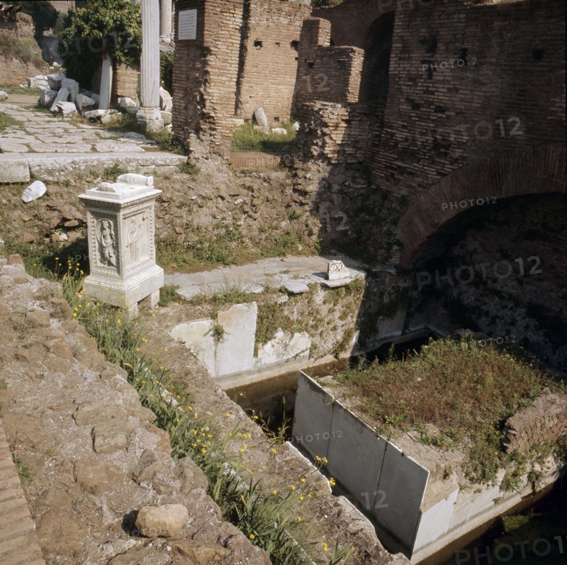 The Roman Forum