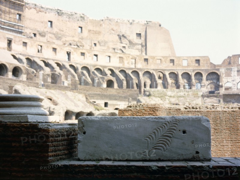 The Colosseum, Rome