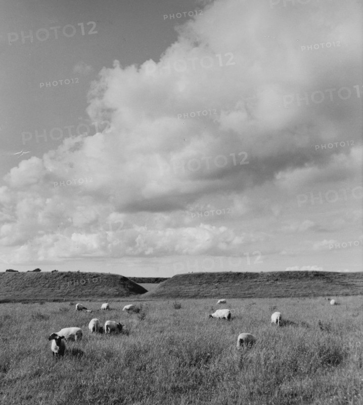 The remains of the fortified Viking settlement at Trelleborg