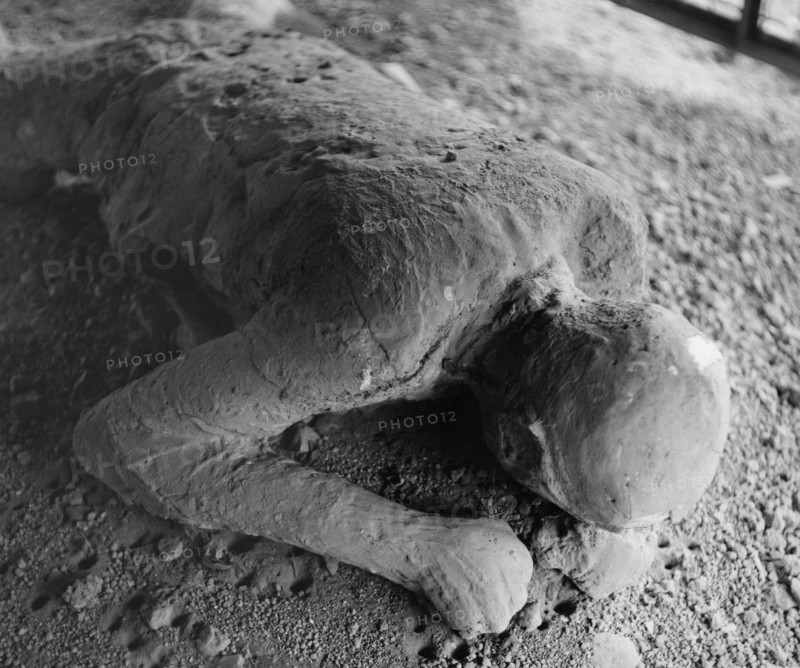 A Pompeiian victim of the eruption of Vesuvius