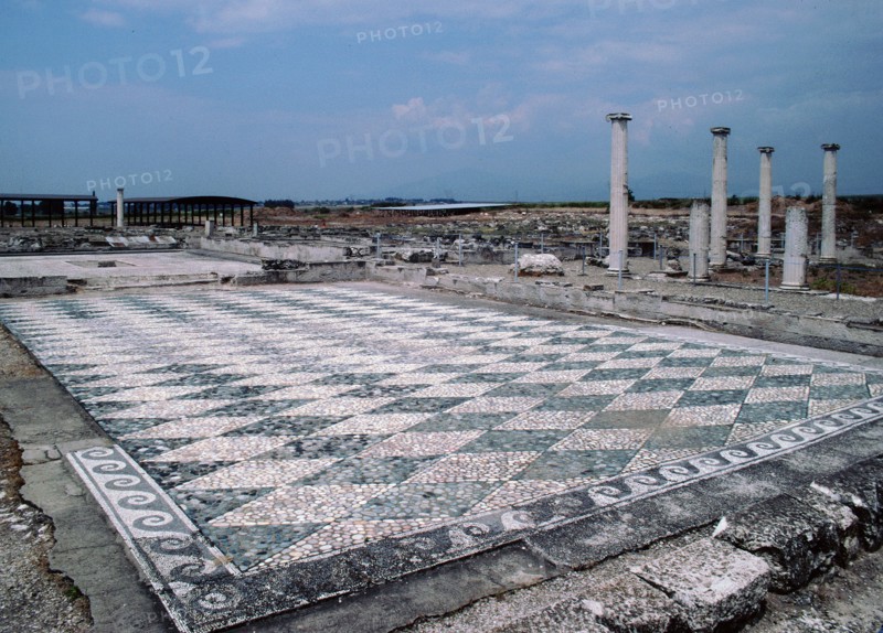View across a black and white diamond-shaped pebble mosaic floor at Pella, the Macedonian capital, and birthplace of Alexander the Great