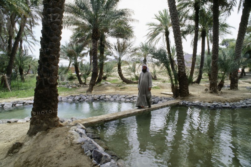 Irrigation channels at al-'Ain oasis