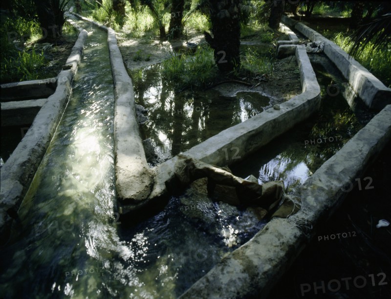 Irrigation channels at al-'Ain oasis