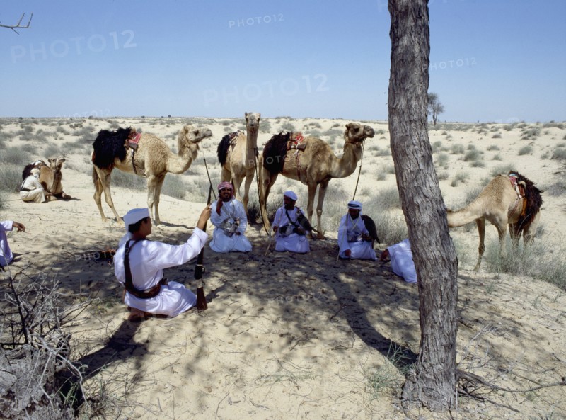 A party of Bedouin seated conversing in the shade of a tree in the desert while their camels are tethered nearby