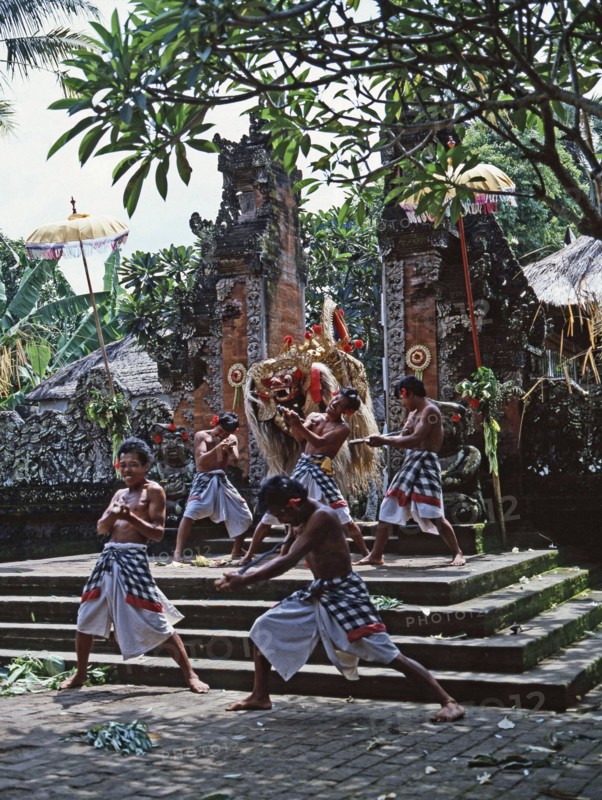 Each Balinese community stages regular performances in which Barong, a mythical lion, fights the dreaded Rangda, Queen of witches