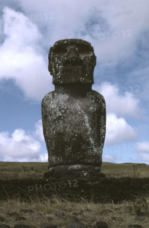 Moai statue
