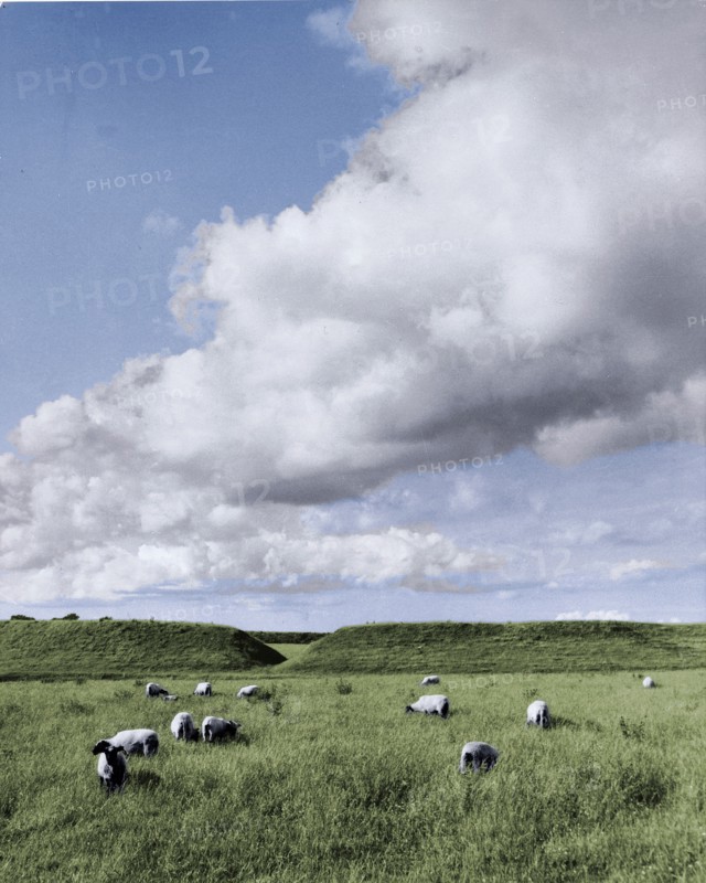 The remains of the fortified Viking settlement at Trelleborg