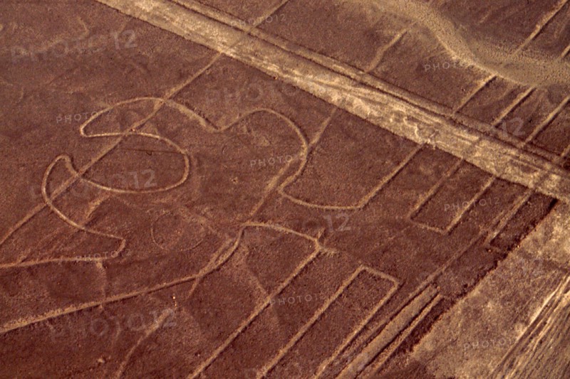 Used for rituals probably related to astronomy, the Nazca geoglyphs covering an area of around 400 square miles, are visible only from the air