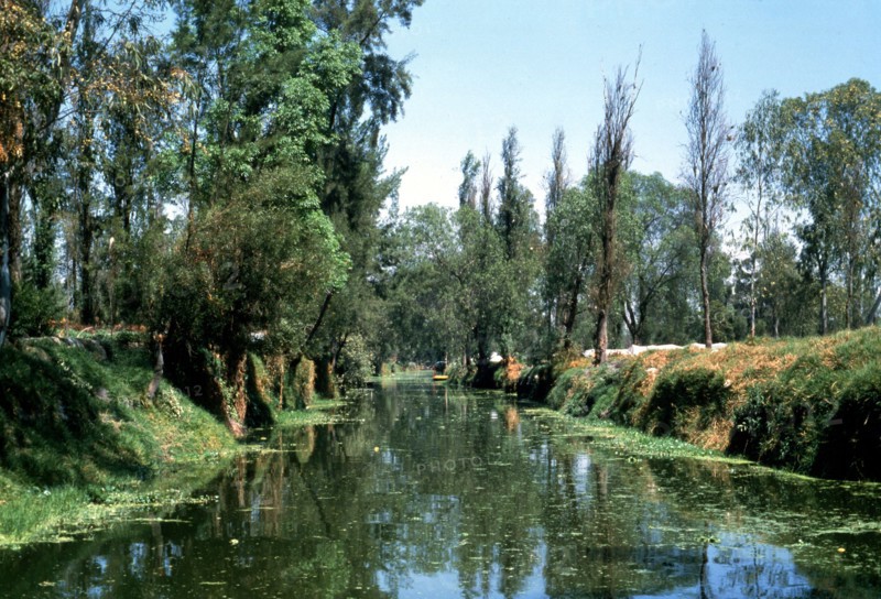 The Aztec canals at the floating gardens of Xochimilco