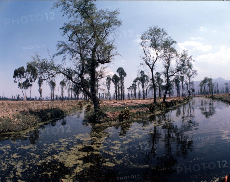 The gardens of Xochimilco, to the south of Mexico City