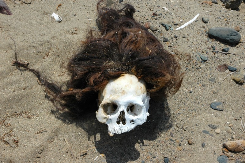 Pre-Columbian skull with the hair still attached
