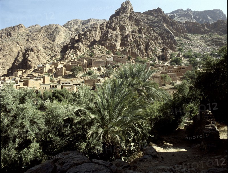 Oasis in the Sahara near Sijilmasa