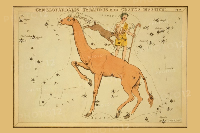 Camelopardalis, Tarandus and Custos Messium 1825