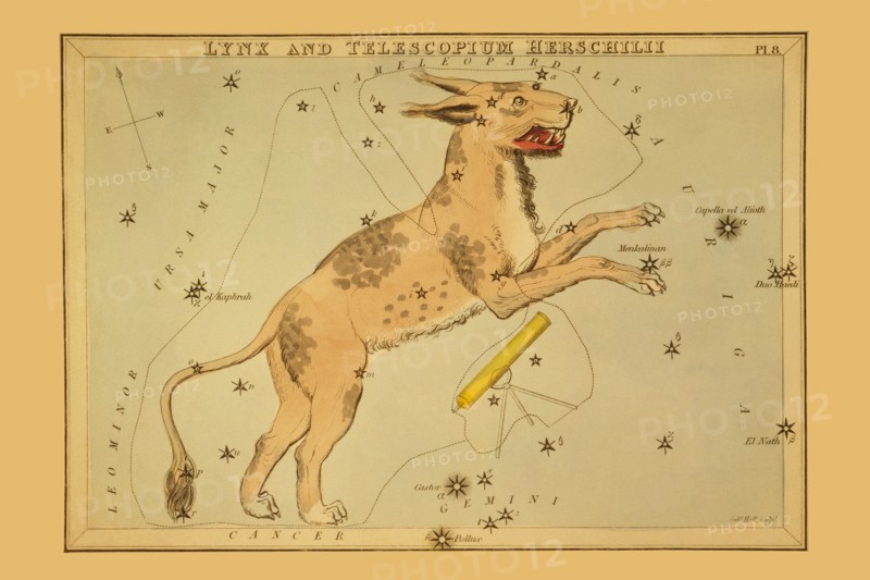 Lynx and Telescopium Herschilii 1825