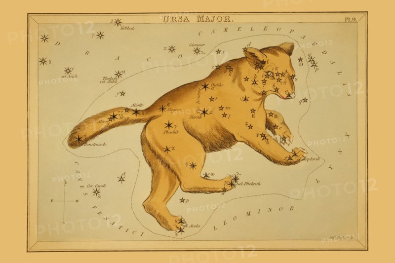 Ursa Major 1825