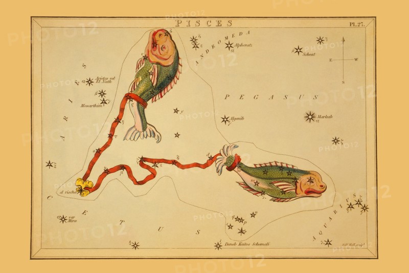 Pisces 1825