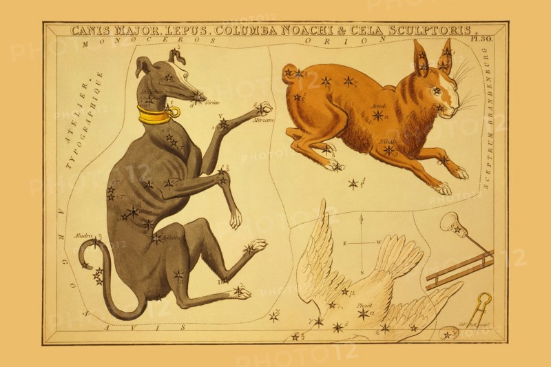 Canis Major, Lepus, Columba Noachi & Cela Sculptoris  1825