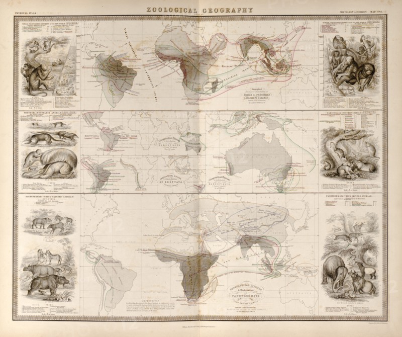 Zoological Geography; Birds of the World; Primates, Pachydrms, Marsupials & Primates 1848