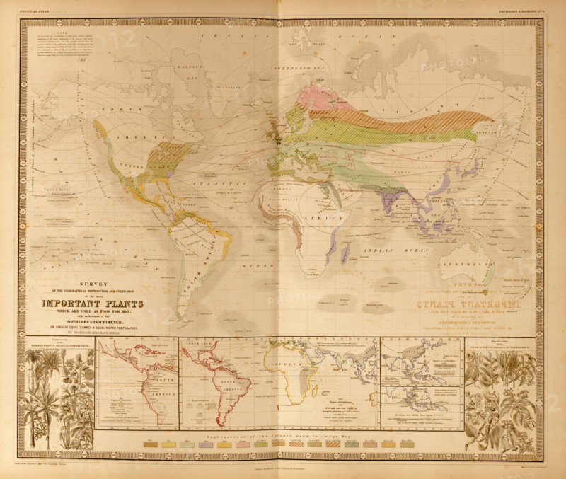 Food Plants of the World 1848