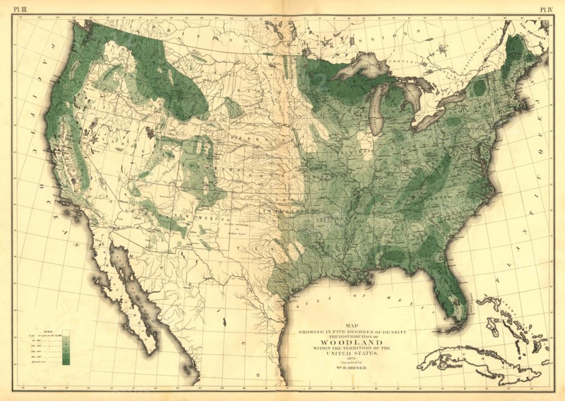 Woodlands of the United States - 1873 1873