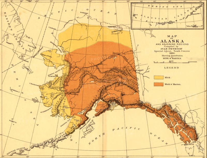 Mink & Marten - 1882 1882