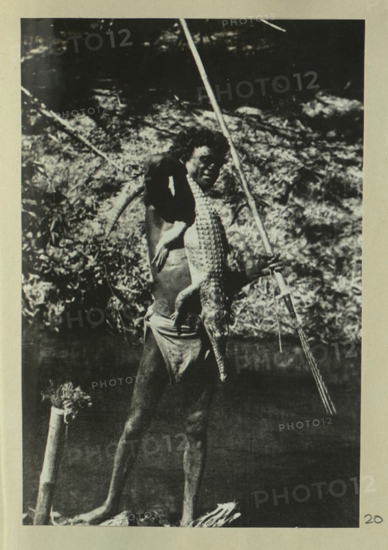 Aboriginal man holding a crocodile and spears
