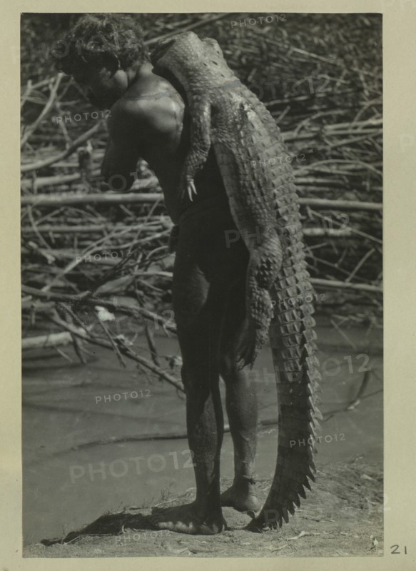 Aboriginal man holding crocodiles on his back