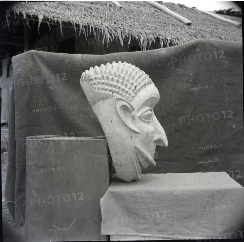 Bangwa mask, side face