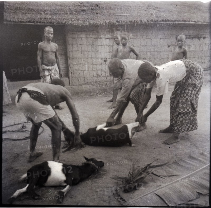 Bekundi meeting, killing the second goat