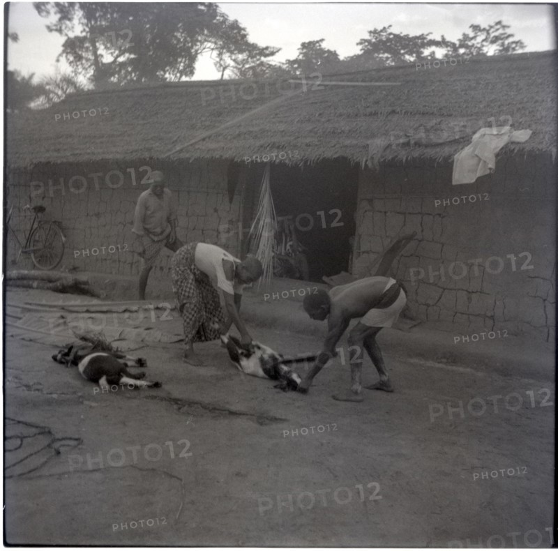 Bekundi meeting, killing the third goat