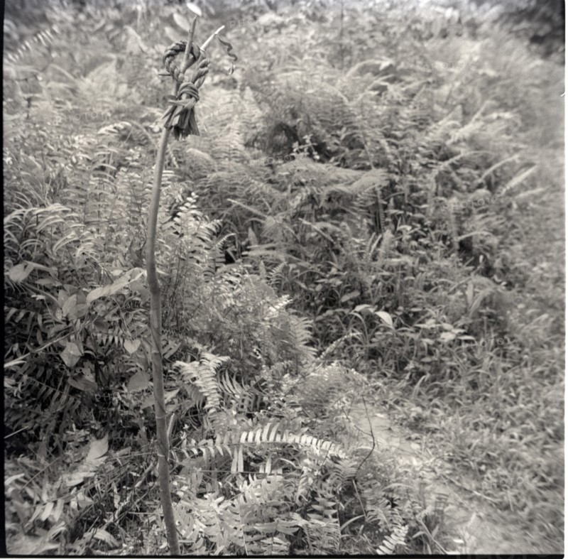 Farm of [T'Agu?]