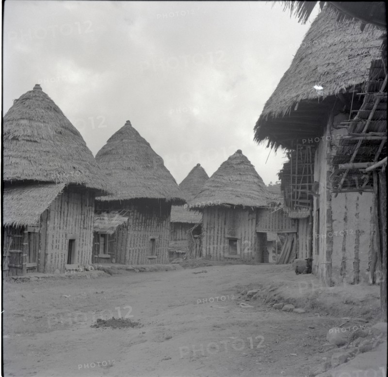 Fontem, wives houses, the Palace