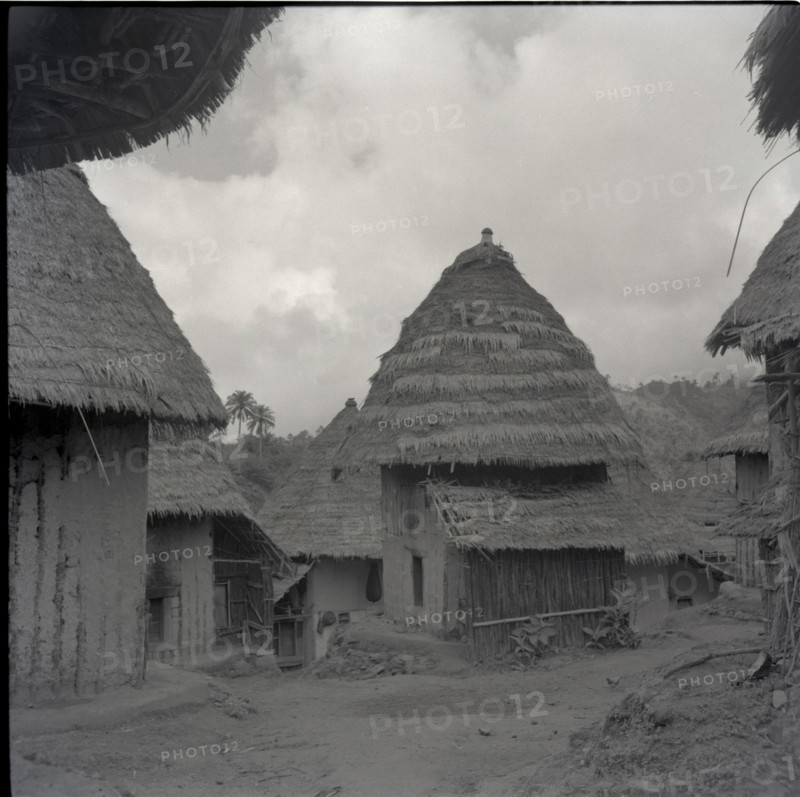 Fontem, wives houses