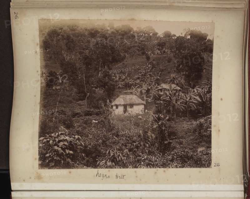 Two thatched huts set among trees