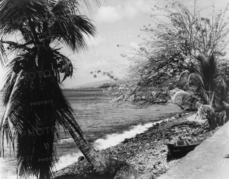 Dominica coastline