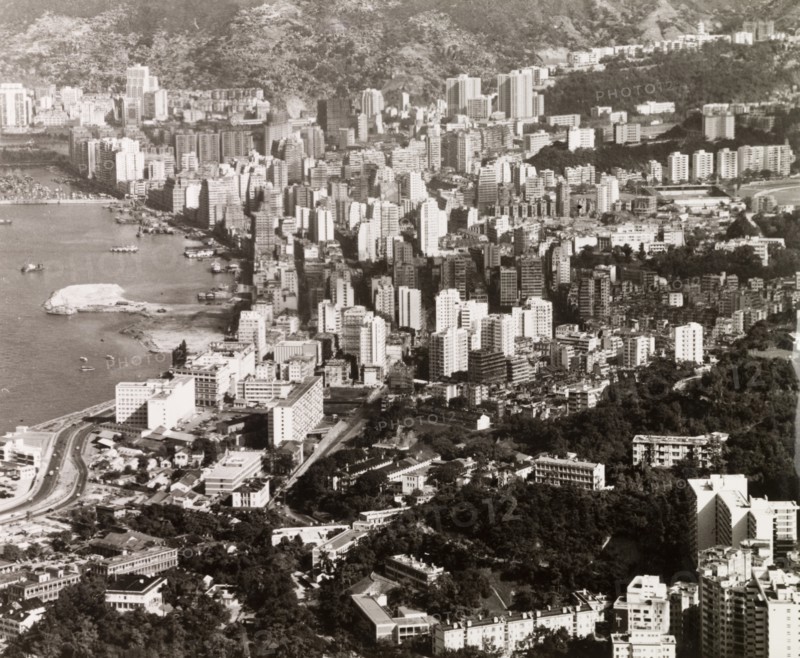 A forest of skyscrapers