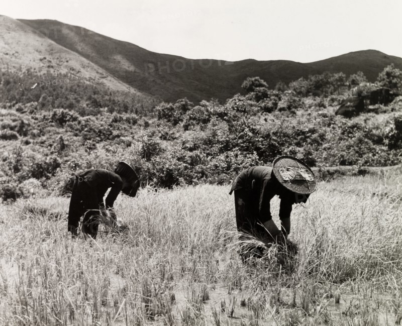 Two female Hakka labourers