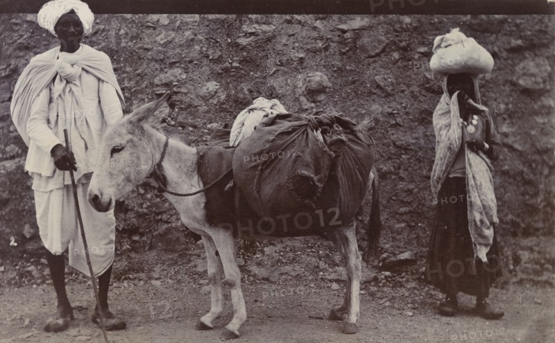 A 'dhobi' and his donkey