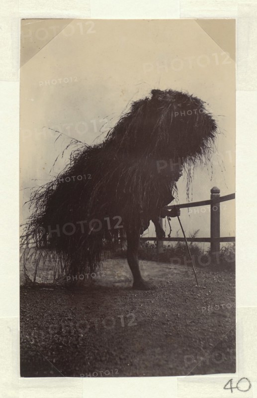 Labourer with a bundle of grass