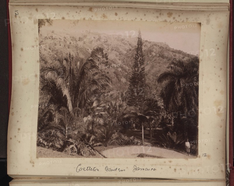 Castleton Gardens, Jamaica